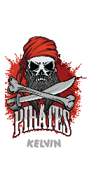 Pirates - Stainless Steel Water Bottle