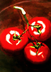 Tomato - 海報