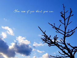 Blue Sky - Postcard