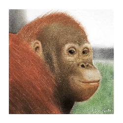 Orangutan painting - Photo Tiles