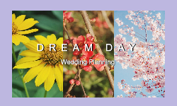 Wedding Planning - 卡片