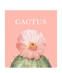 Cactus - Tote Bag