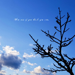 Blue Sky - Laptop Stickers