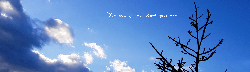 Blue Sky - Tumbler