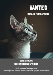 Cat - Poster