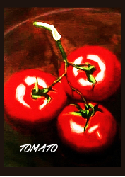 Tomato - Spiral Notebooks