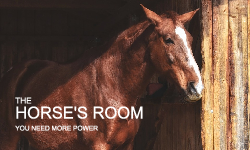 Horseroom - Business Card