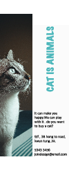 Cat - Pull up banner