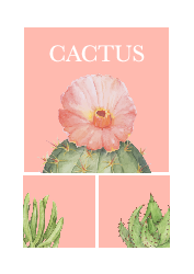 Cactus - 鐵圈筆記本