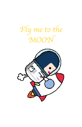 Fly me to the Moon - Notebooks