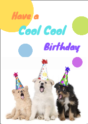 Cool Cool Birthday - Birthday Card