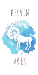 Constellation - Aries - Stainless Steel Water Bottle