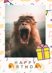 Funny Animal - Birthday Card